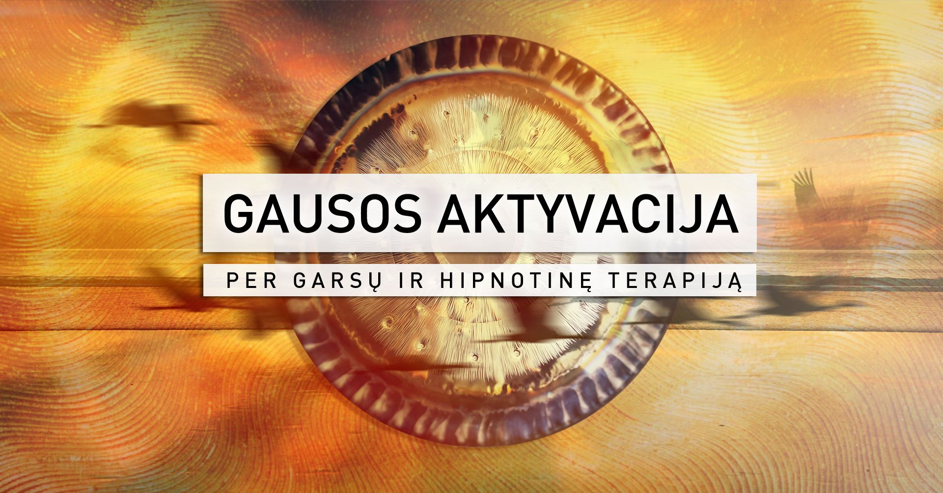 1 GAUSOS AKTYVACIJA per garsų ir hipnotinę terapiją