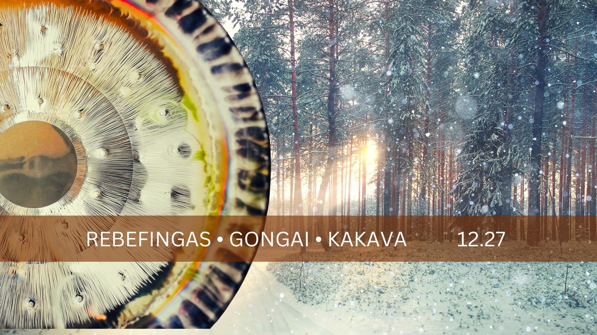 Garso terapija Kaune Gongai 1