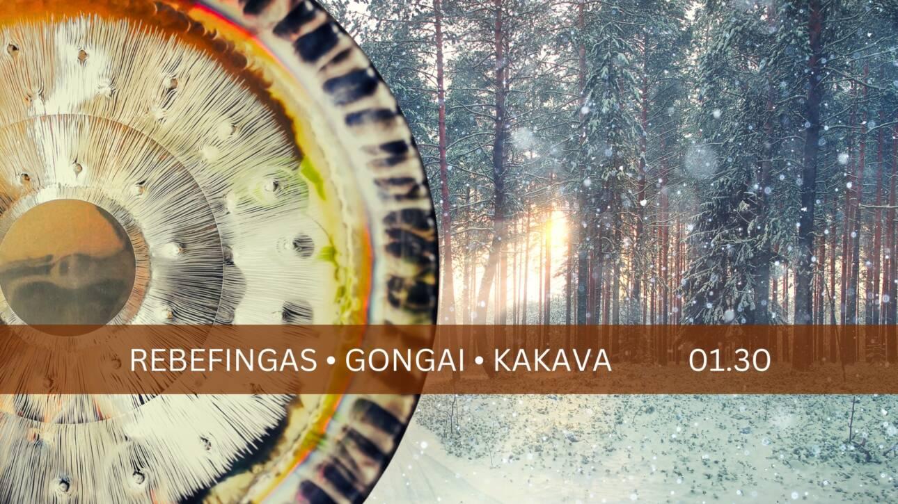 Garso terapija Kaune Gongai 11