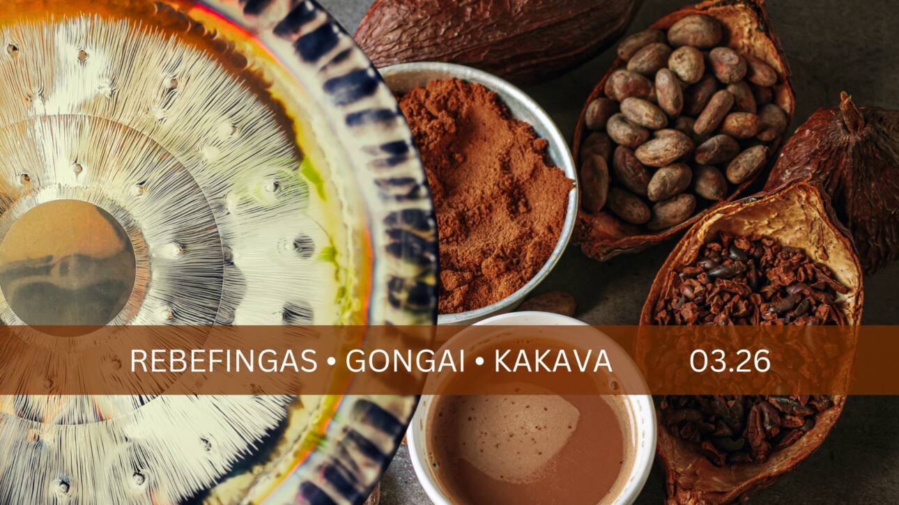 Garso terapija Kaune Gongai 6